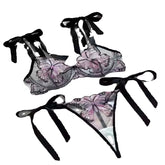 Sexy French Butterfly Embroidery lingerie