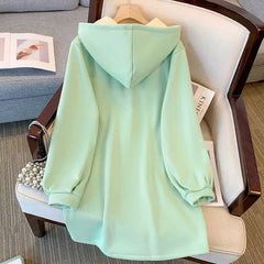 Aesthetic Embroidery Buckle Plush Hoooded Sweatshirt Dress