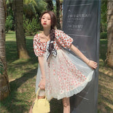 Cute Summer Flowers Gauze Fairy Dress