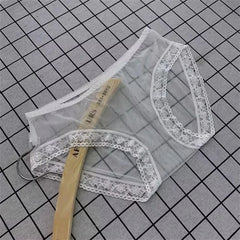 3PCS/Set Fully Transparent Perspective Briefs Sexy Women's Underwear