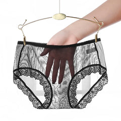 Sexy Lace Trim Solid Briefs Full Transparent Mesh Panties