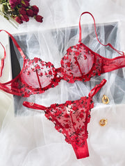 Sexy Sheer lingerie