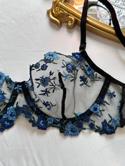 Sexy Sheer lingerie