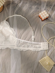 Women's plus size Bra