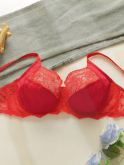 Women's sexy embroidered lace plus size Bra