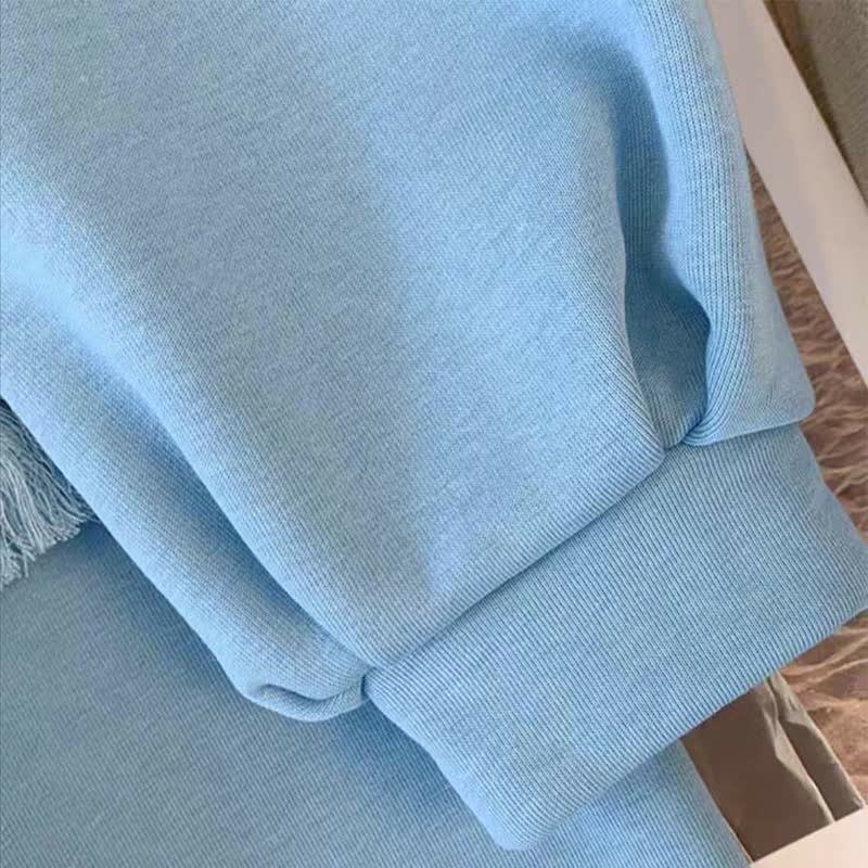 Aesthetic Embroidery Buckle Plush Hoooded Sweatshirt Dress