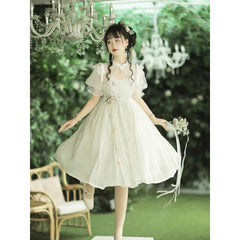 Elegant Floral Cheongsam Dress