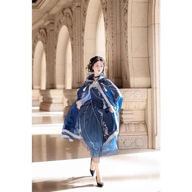 Elegant Starlight Assasin Dress