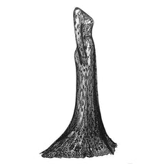 Gothic Lace Front Slit Maxi Dress